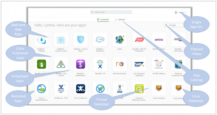 VMware Identity Manager Reviewer Guide